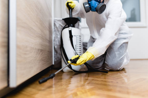 Best Pest Prevention Services  in Brodheadsville, PA