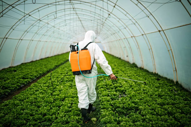 Pest Prevention Services in Brodheadsville, PA