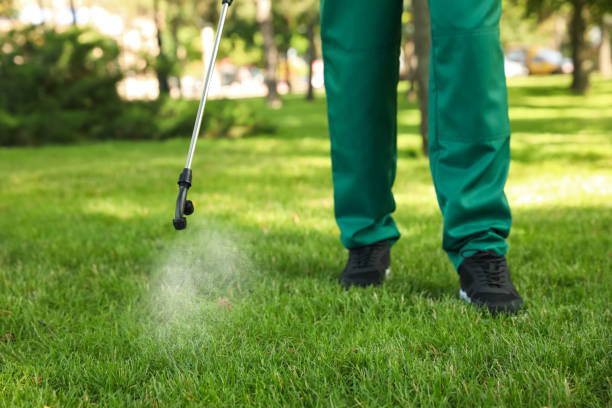 Best Exterminator Services  in Brodheadsville, PA